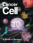 Cancer Cell：雷公藤可能通过抑制MCL1基因治疗肿瘤