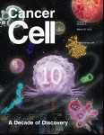 Cancer Cell：癌症<font color="red">凋亡</font>细胞的突变种（BIK－DD）可引发胰腺癌干细胞<font color="red">凋亡</font>