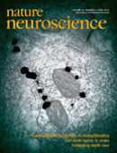 Nat Neuro：研究揭示焦虑情绪与大脑前扣带<font color="red">皮层</font>有关