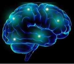 Neuron：大脑AKT3基因突变易致侧巨脑症