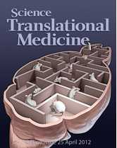 Sci Transl Med：化合物治疗小鼠的自闭症行为