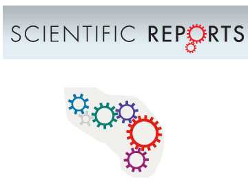 Scientific Reports：抗生素跨代影响的研究
