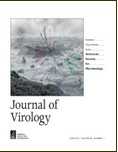 J Virol：干细胞疗法为治疗HIV感染另辟蹊径