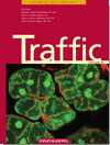 Traffic：李巍等溶酶体运输机制和<font color="red">白化病</font>研究中获进展