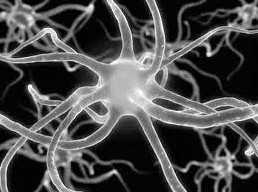 Nature：英研究者找到预防脑部疾病中脑细胞死亡的方法