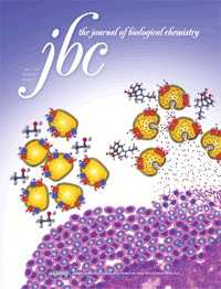 JBC: NK细胞的激活需要络氨酸激酶Btk