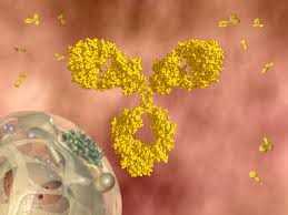 J Biol Chem：研究者开发出激活免疫细胞抵御癌症的新方法
