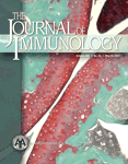 <font color="red">J.</font> Immunol：日开发新方法可判断多发性硬化症疗效