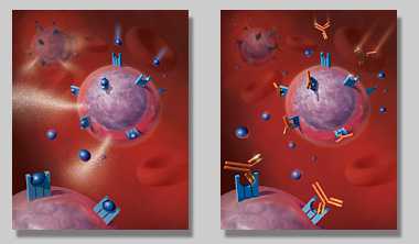 Sci Transl Med：<font color="red">daclizumab</font>调控调节性T细胞促进肿瘤免疫治疗