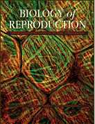 Bio Repro：新生儿植物雌激素暴露如何导致成年不育