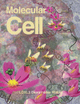 Mol Cell：罕见遗传免疫疾病XLP2研究获突破