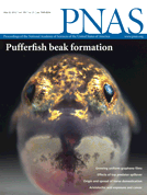 PNAS：白血病中BAALC基因過度<font color="red">激活</font>