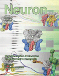 Neuron：胚胎干细胞用于治疗神经性疼痛