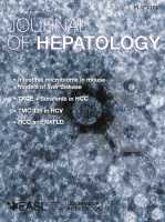 Hepatology：抑癌<font color="red">因子</font>控制了非酒精性<font color="red">脂肪</font>性肝炎的发展