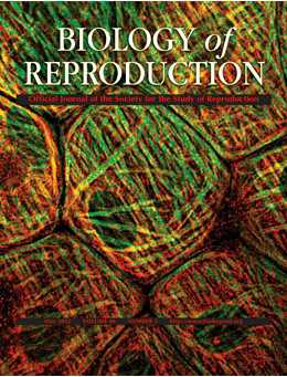 Biol Repro：三种类型的胎儿细胞可以在怀<font color="red">孕期</font>间迁移到母亲的器官中