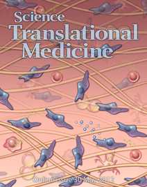 Sci. Transl. Med.：肽类分子E4带来抗纤维化新希望