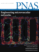 PNAS：利用锌指核酸酶技术建立寡核苷酸突变疾病模型