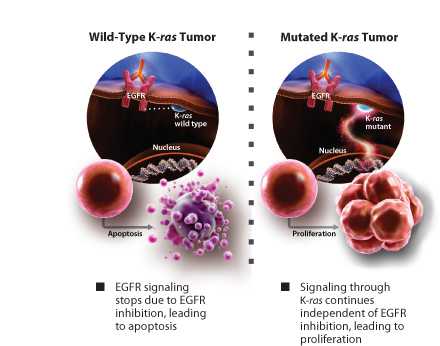 Nature：K-<font color="red">RAS</font>突变可能是癌症对靶向治疗耐药、复发根源