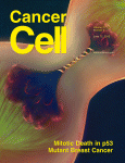 Cancer Cell：胰腺癌治疗的新<font color="red">靶</font>点