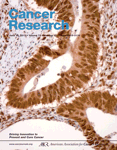 Cancer Res：成纤维细胞HIF-1α的作用被揭示