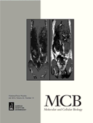 Mol Cell Bio：紧密连接蛋白促进乳腺癌肝转移