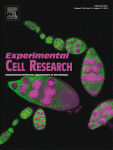 Exp Cell Res：多靶抑制肿瘤诱导的血管生成