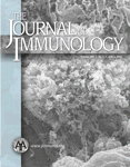 J Immunol：MicroRNA-494对免疫细胞的募集至关重要