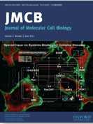 J Mol Cell Biol：徐<font color="red">鹰</font>等发现低氧可以驱动癌症生长