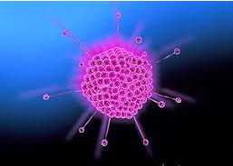 Cell Host & Micro：腺病毒逃脱干扰素介导的天然免疫反应的机制