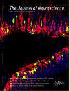 J Neurosci：程乐平等脊髓背角<font color="red">神经递质</font><font color="red">受体</font>基因表达研究获进展