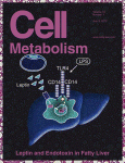 Cell Metabolism：激素<font color="red">治疗</font>糖尿<font color="red">病</font>,激素