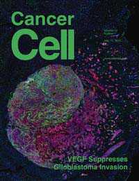 Cancer Cell：VEGF抑制胶质母细胞瘤间叶上皮组织转化和侵袭性
