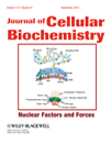 J Cell Biochem：脂肪<font color="red">酸</font>合酶减少促进缺氧HepG2细胞死亡