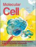 Mol Cell：癌症细胞对赫赛汀产生耐药的原因