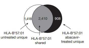 Nature：HLA多态性在药物基因组学中的重要性