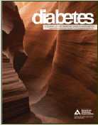 Diabetes：郭非凡等揭示亮氨酸缺乏时中枢神经系统调节外周能量代谢的新机制