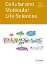 Cell Mol Life Sci：急性髓细胞白血病中VEGF信号