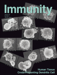 Immunity：REG3A调节银屑病和皮肤修复的细胞增殖和分化