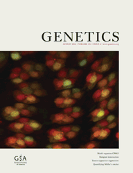 Genetics：LIN-35<font color="red">基因</font>可作为抗癌疗法的<font color="red">靶标</font>