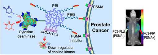 ACS Nano：新型诊断成像技术助化学疗法杀灭前列腺癌细胞