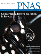 PNAS: 新型视网膜假体可让使用者<font color="red">识别</font><font color="red">面部</font>信息追寻移动图形