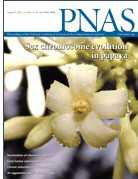 PNAS：卵泡刺激素多克隆抗体治愈骨质疏松症