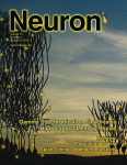Neuron：线粒体长度异常会促进神经变性疾病发展