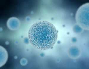 Cancer Cell：剔除肿瘤起始细胞来抑制肿瘤对化疗产生耐药性