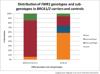 PLoS ONE：筛选FMR1<font color="red">基因突变</font>更易检测卵巢癌和<font color="red">乳腺癌</font>风险