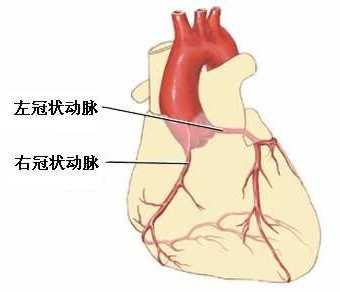 Circulation：减少可预防的心血管死亡是时代使命