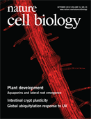 Nat Cell Bio.:c-Jun在肝癌早期发生中起关键作用