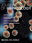 J HEPATOL：<font color="red">博</font>赛泼维药物组合治晚期纤维化/肝硬化安全有效