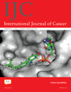 Int J Cancer：索拉非<font color="red">尼</font>可结合动脉栓塞治疗肝肿瘤