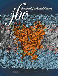 J Biol Chem：研究发现HCV损害肝脏的线索